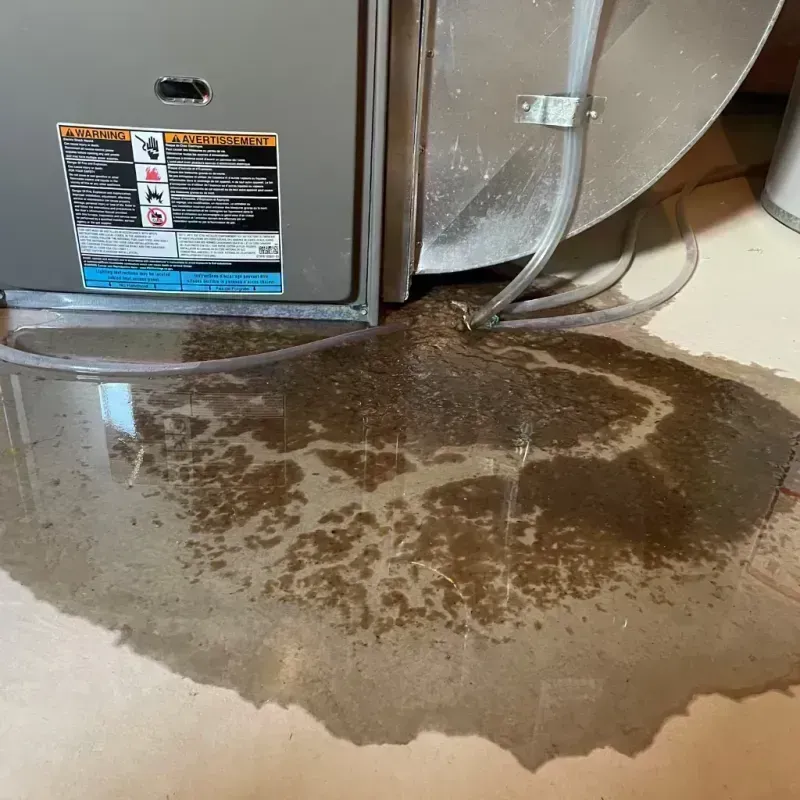 Appliance Leak Cleanup in Woodville, MS